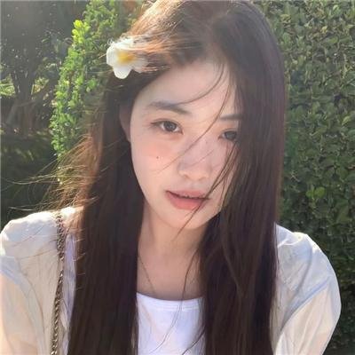 龙年档案